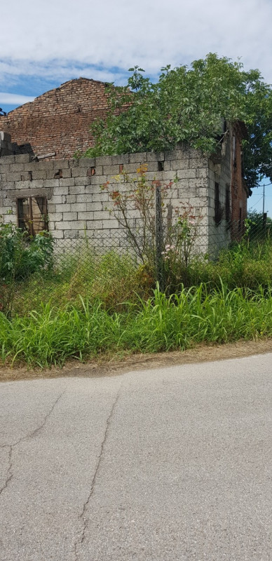 immagine annuncio 2 di 7