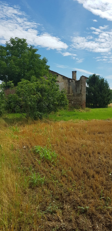 immagine annuncio 3 di 7