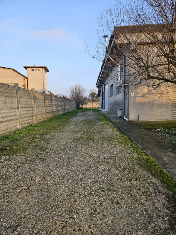 immagine annuncio 5 di 8