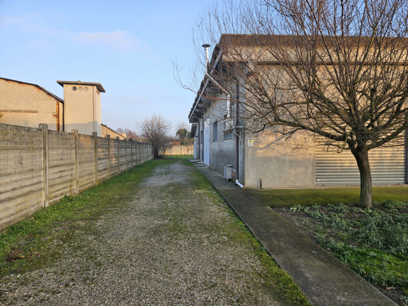 immagine annuncio 1 di 8