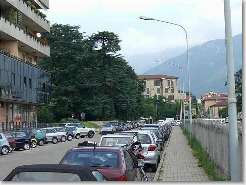 immagine annuncio 1 di 2