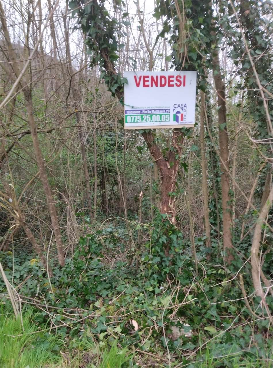 immagine annuncio 1 di 6