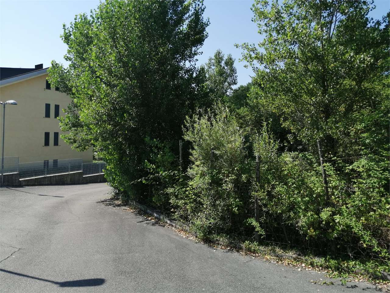 immagine annuncio 5 di 10