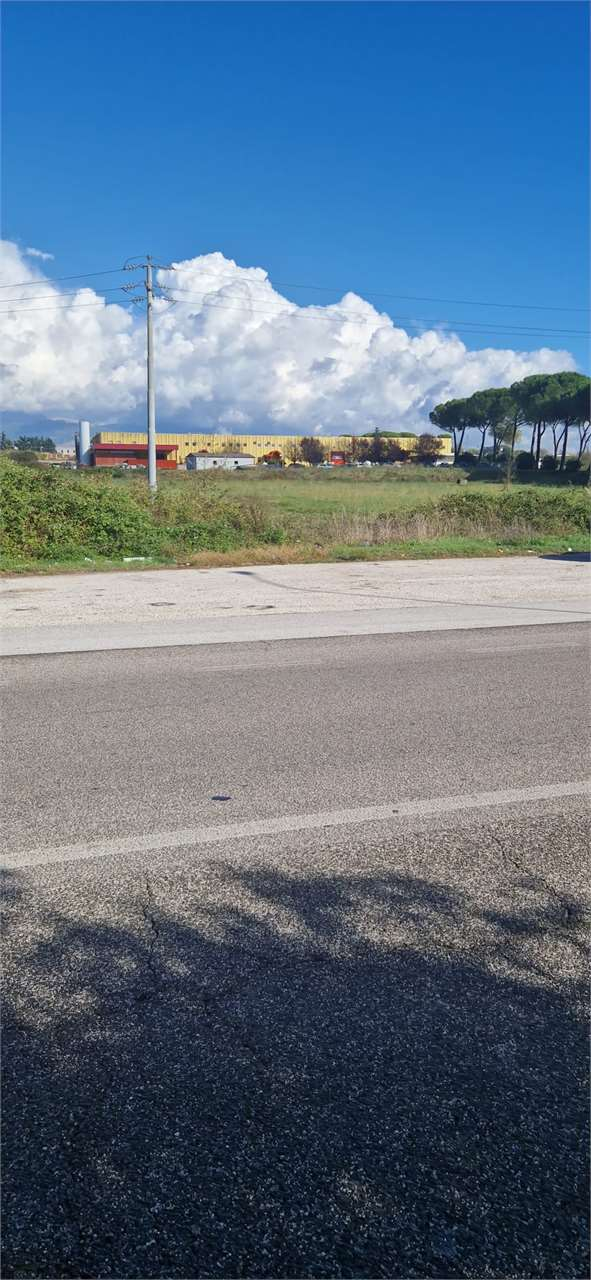 immagine annuncio 6 di 7
