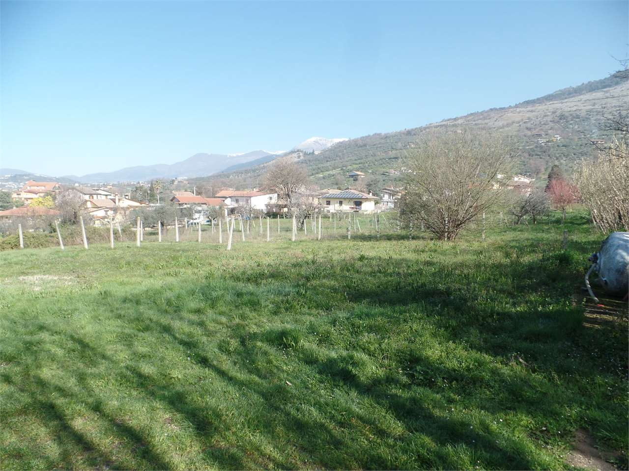 immagine annuncio 6 di 10