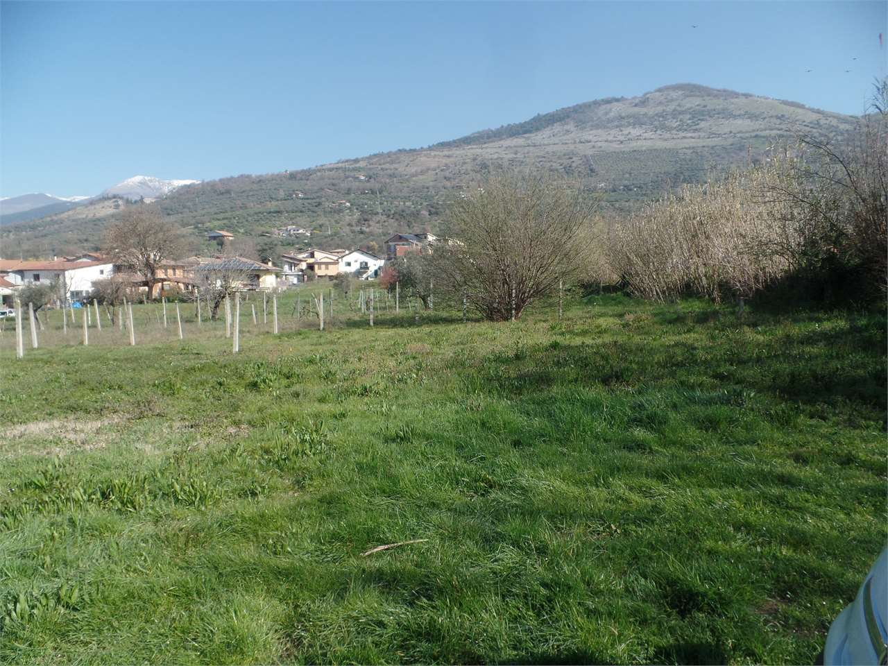 immagine annuncio 5 di 10
