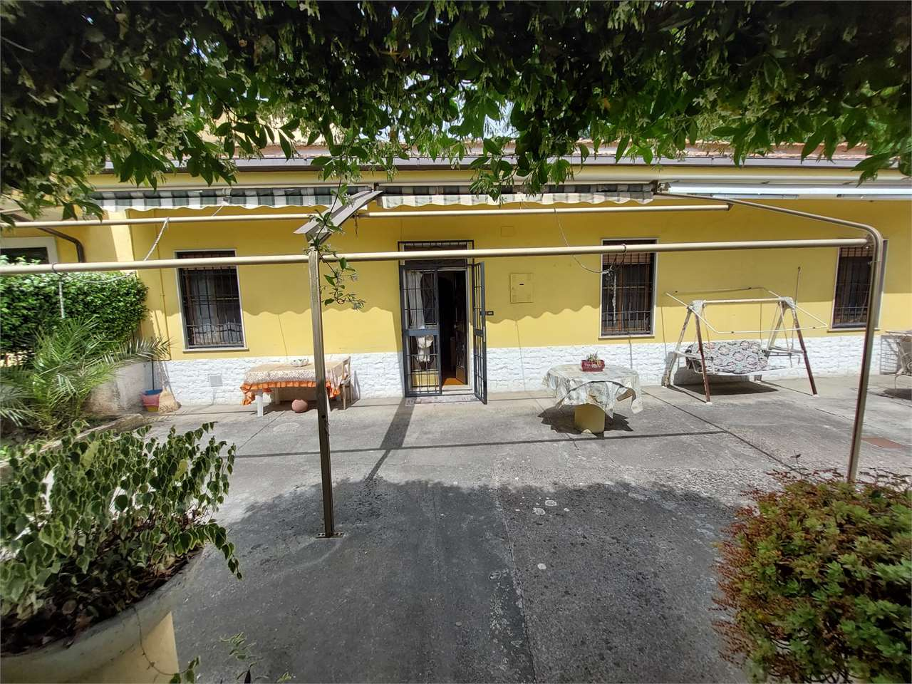 immagine annuncio 1 di 10