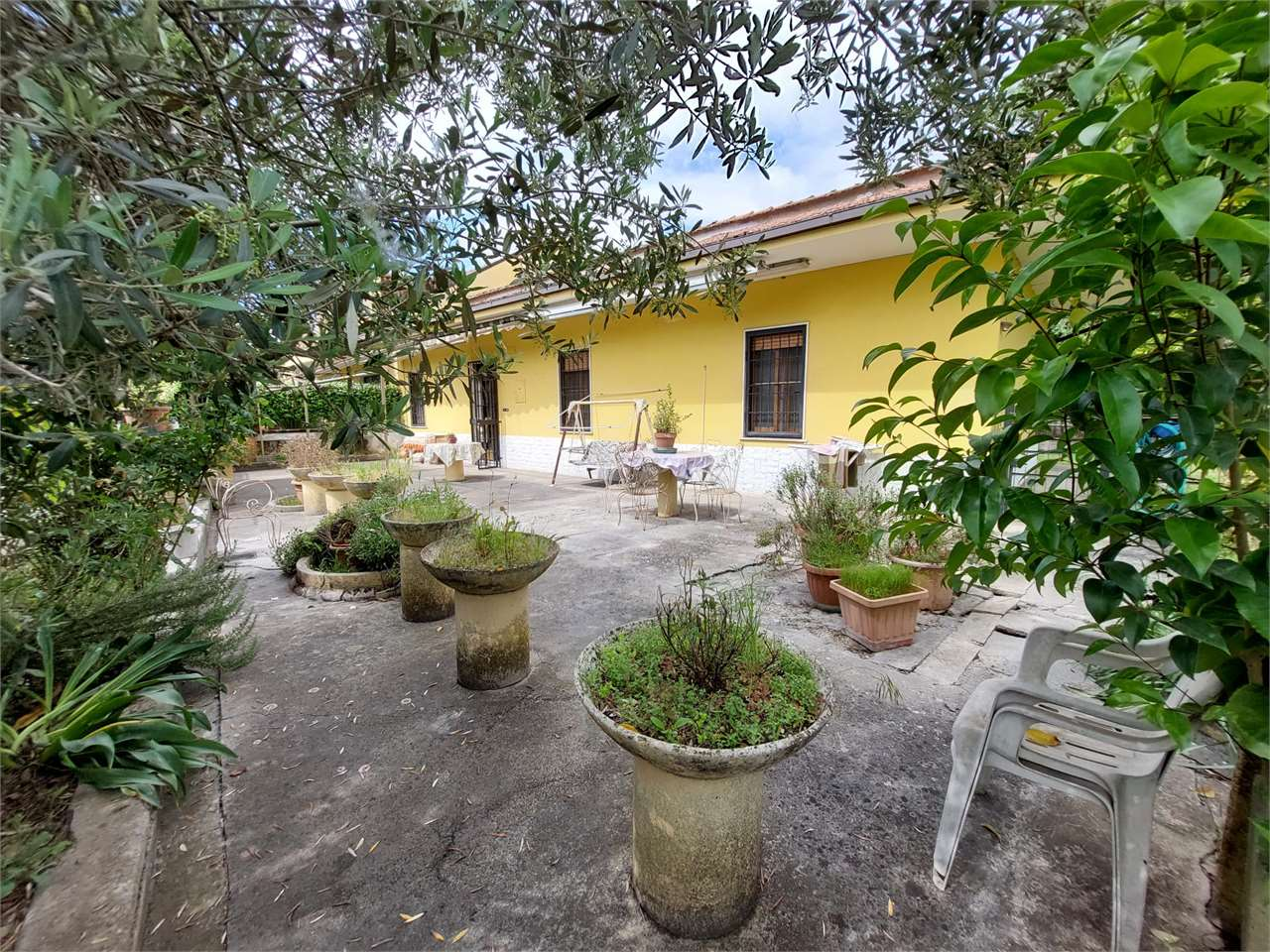 immagine annuncio 6 di 10