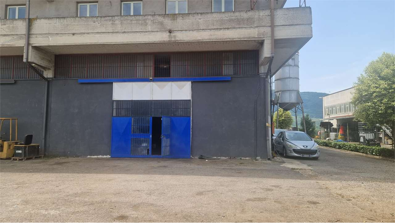 immagine annuncio 3 di 9