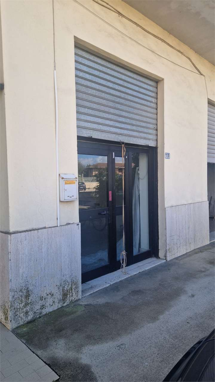 immagine annuncio 3 di 7