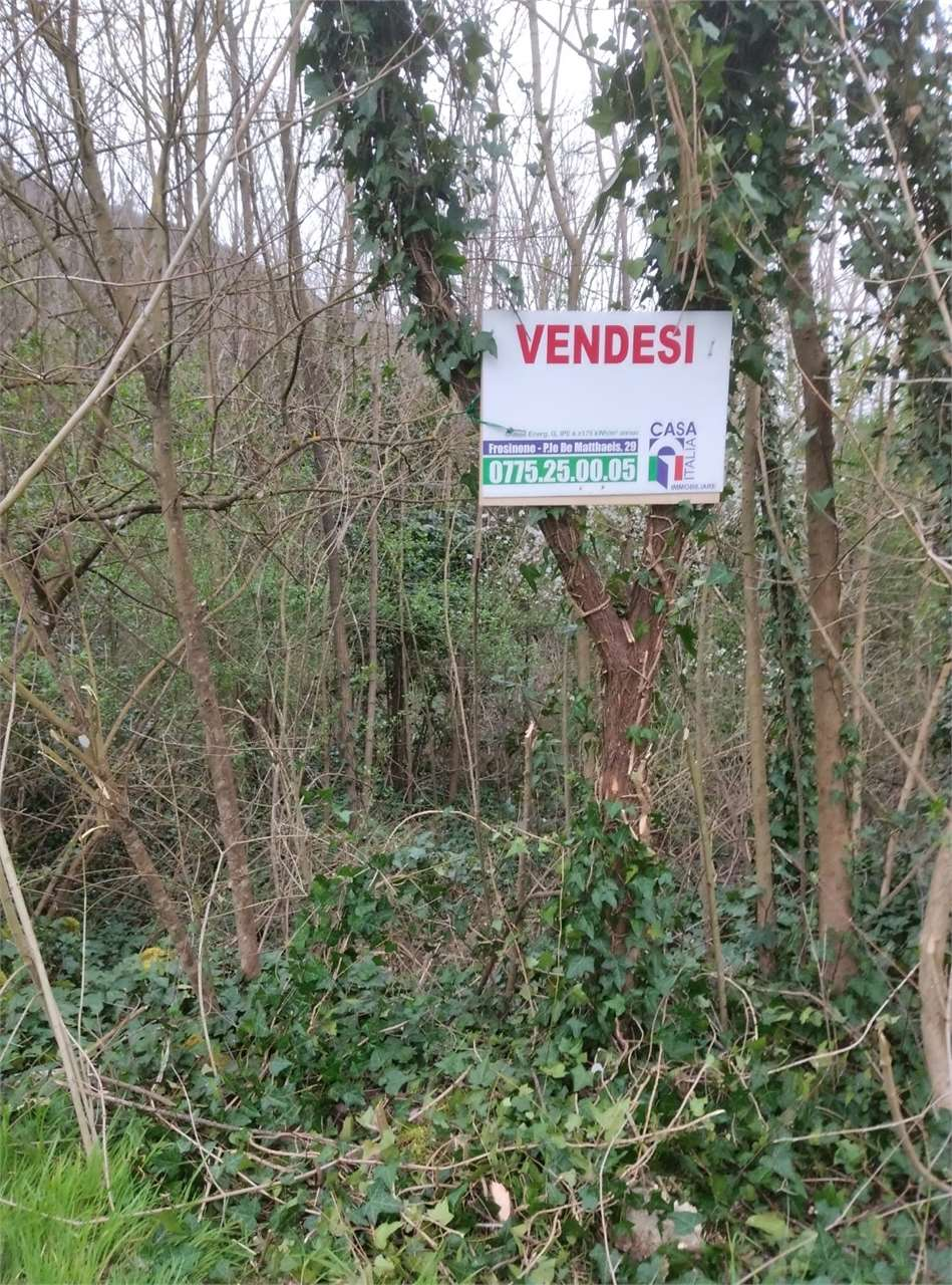 immagine annuncio 5 di 6