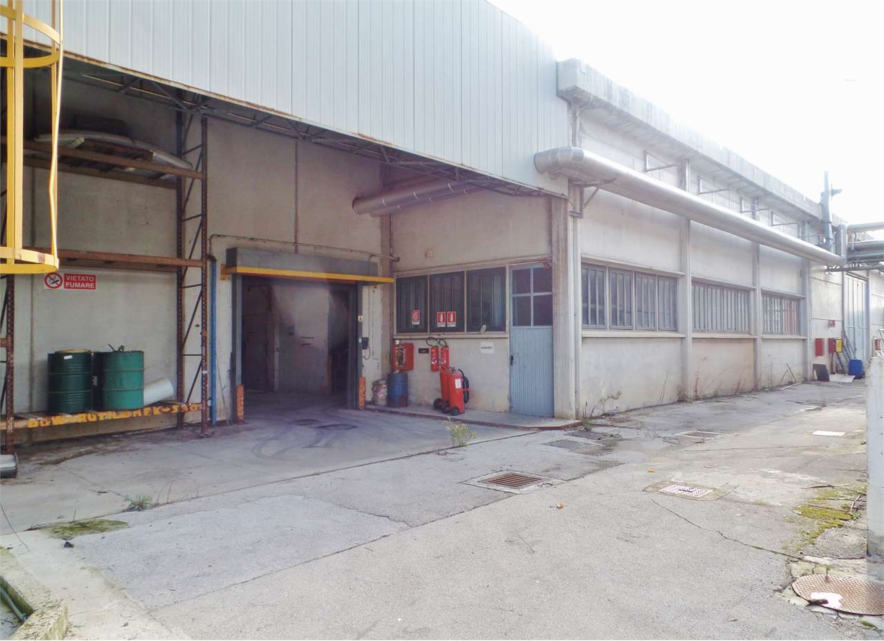 immagine annuncio 7 di 10