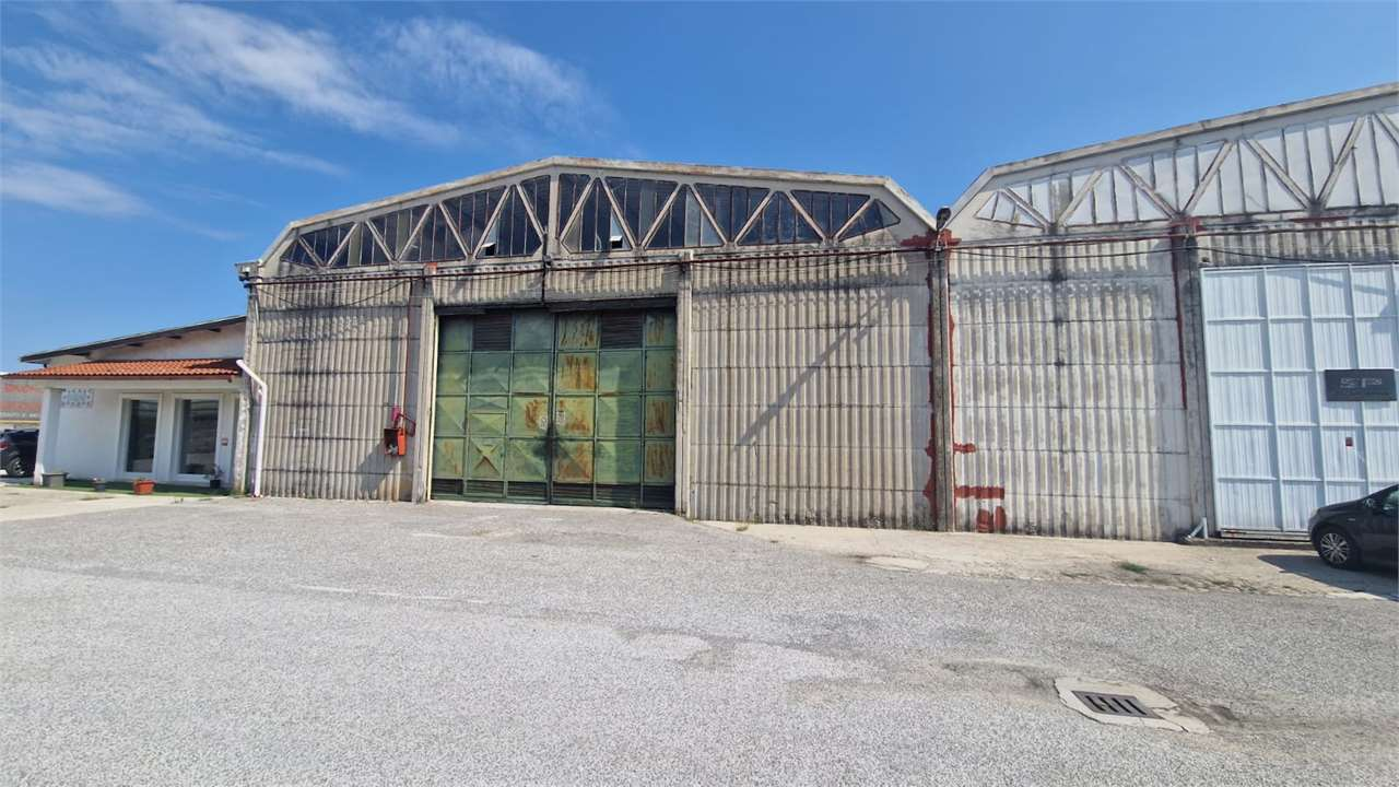 immagine annuncio 5 di 7