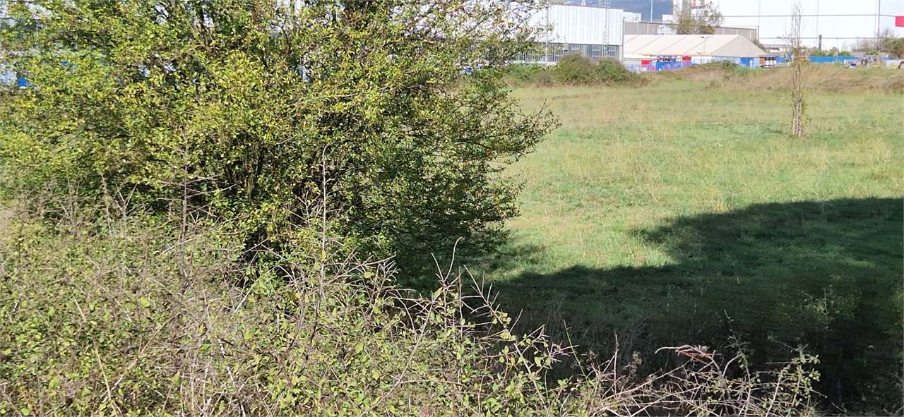 immagine annuncio 6 di 7