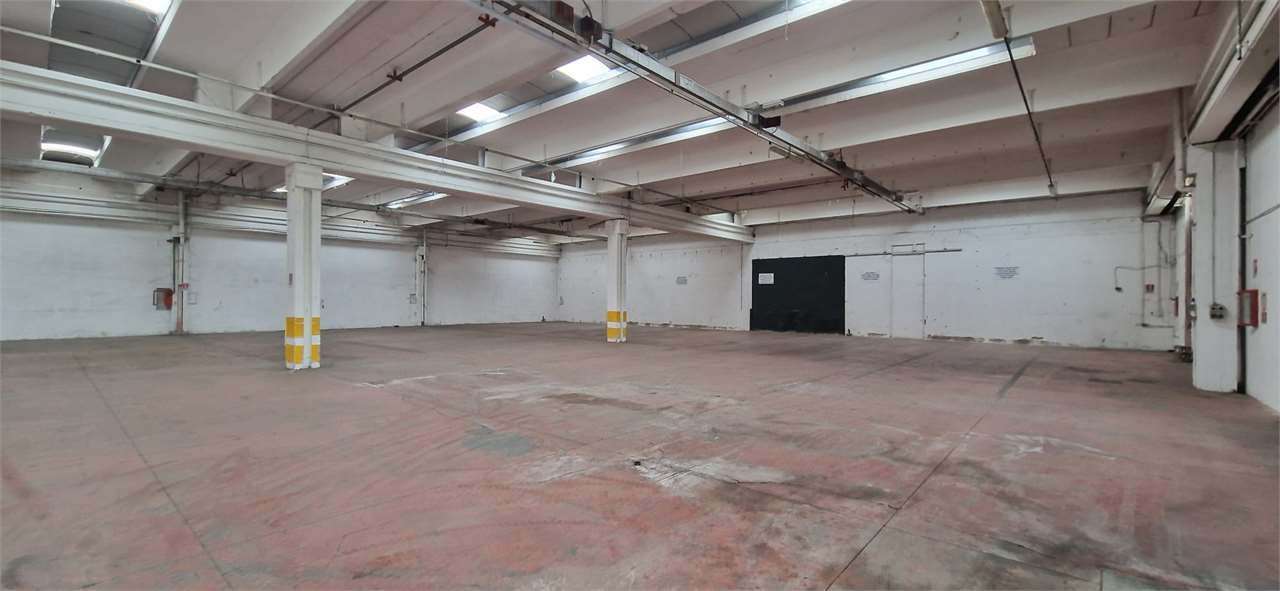 immagine annuncio 6 di 10