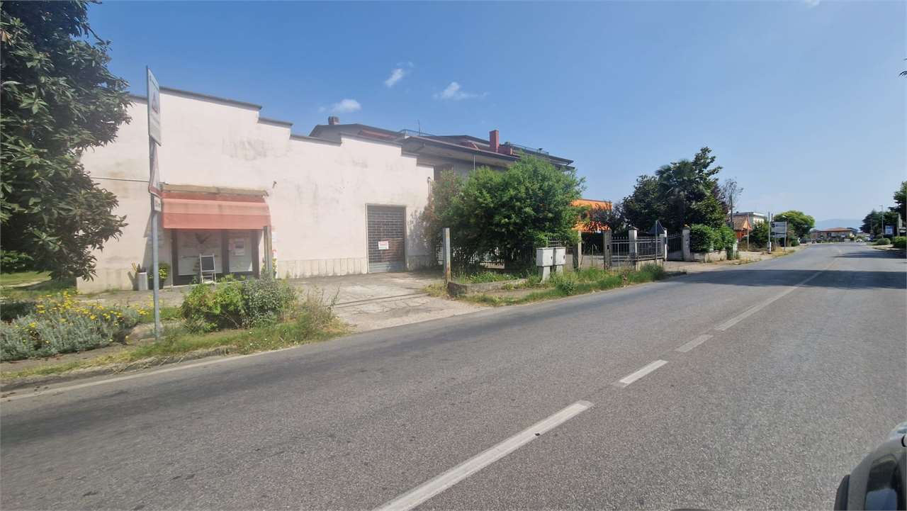 immagine annuncio 4 di 8