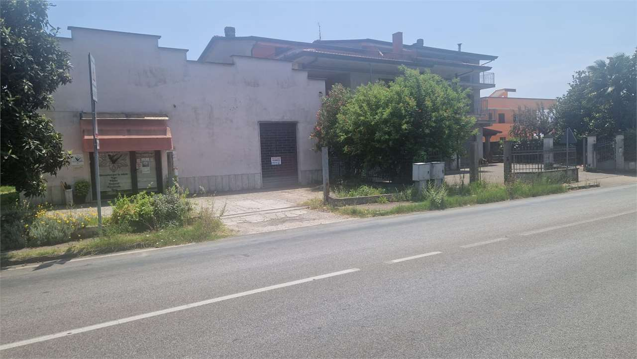 immagine annuncio 5 di 8