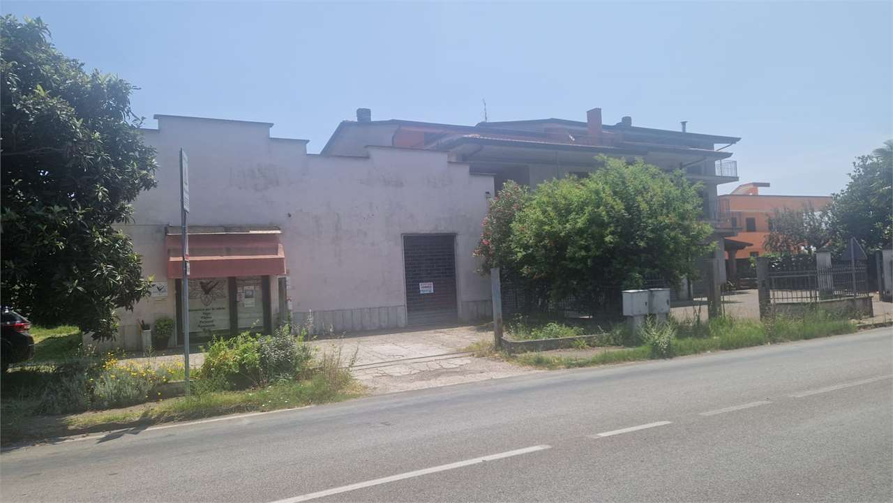 immagine annuncio 7 di 8