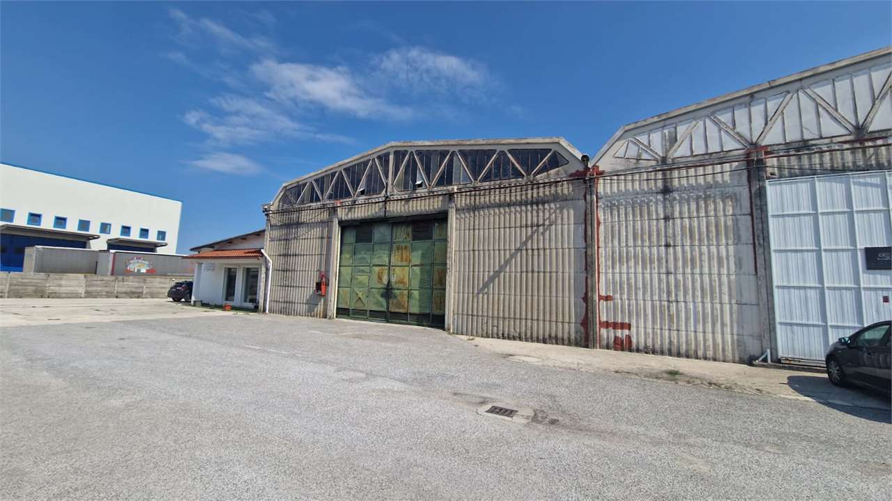 immagine annuncio 1 di 7