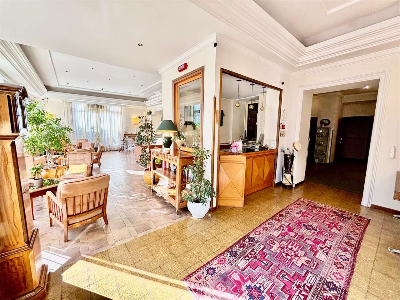 immagine annuncio 7 di 10