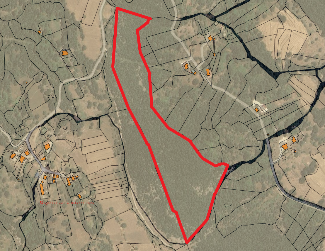 immagine annuncio 3 di 10