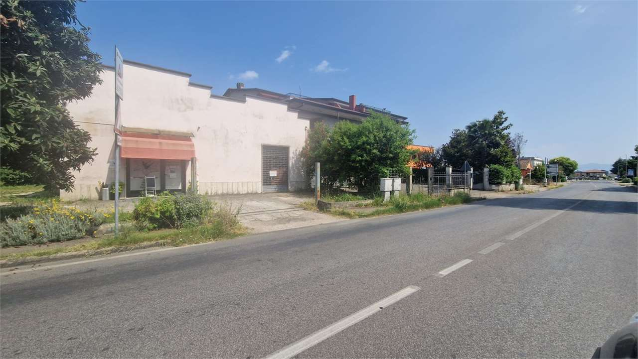 immagine annuncio 1 di 8