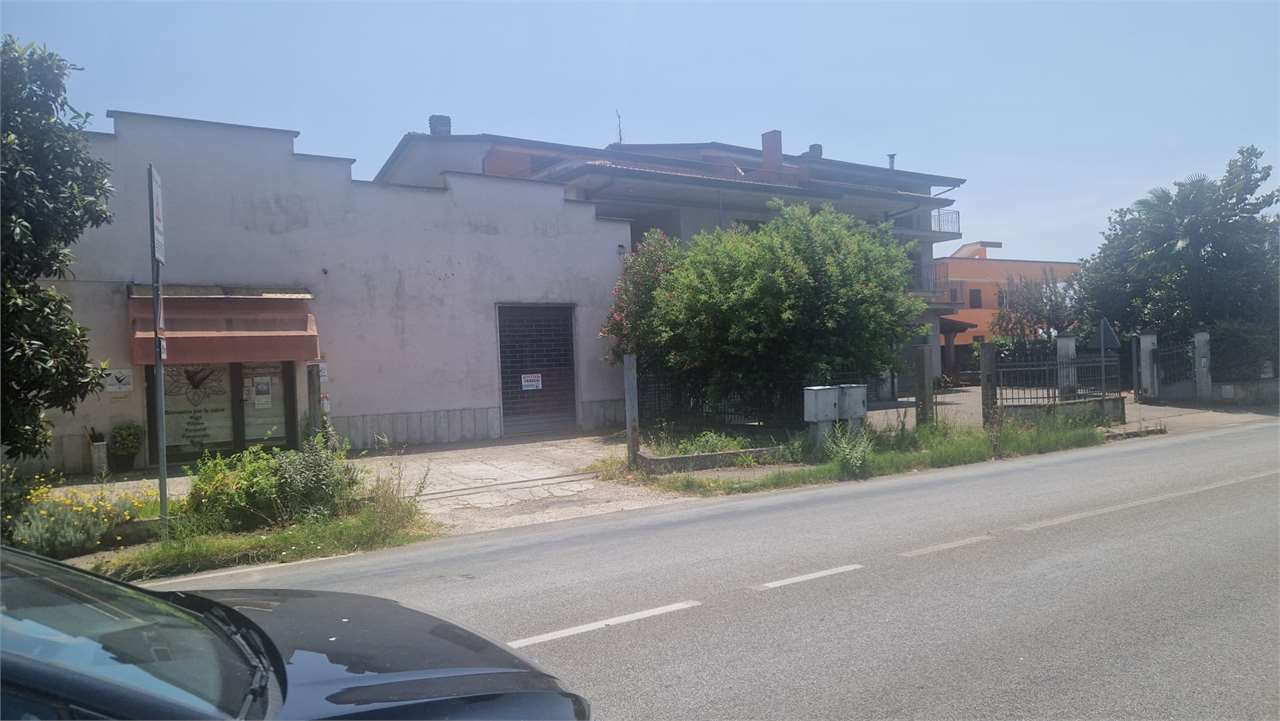 immagine annuncio 4 di 8