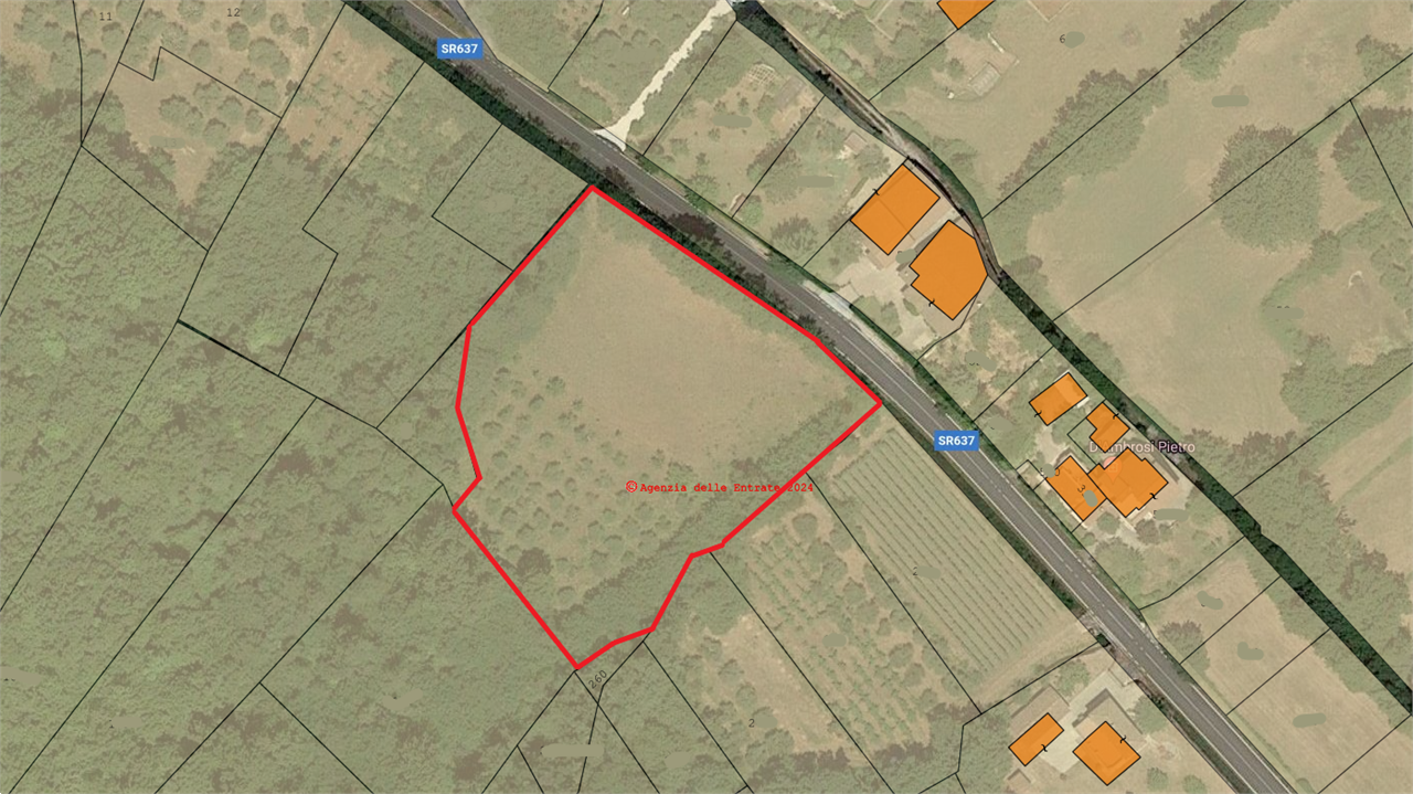 immagine annuncio 2 di 6