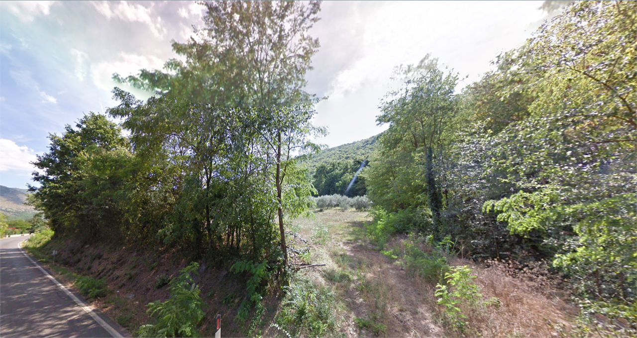 immagine annuncio 3 di 6