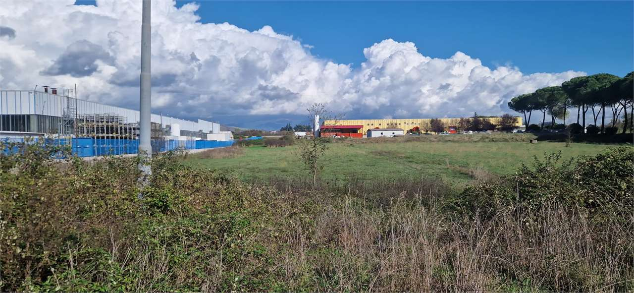 immagine annuncio 1 di 7