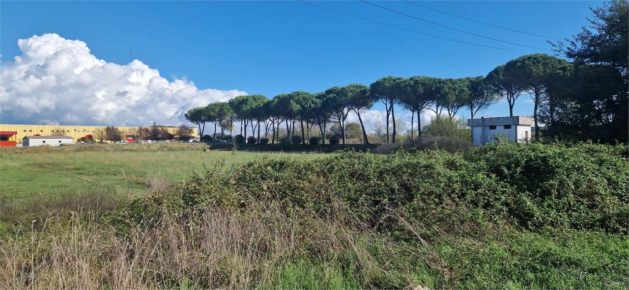 immagine annuncio 2 di 7