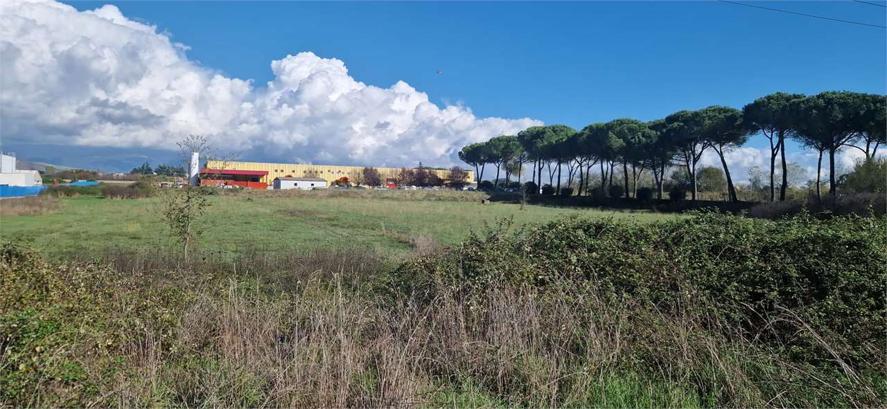 immagine annuncio 3 di 7