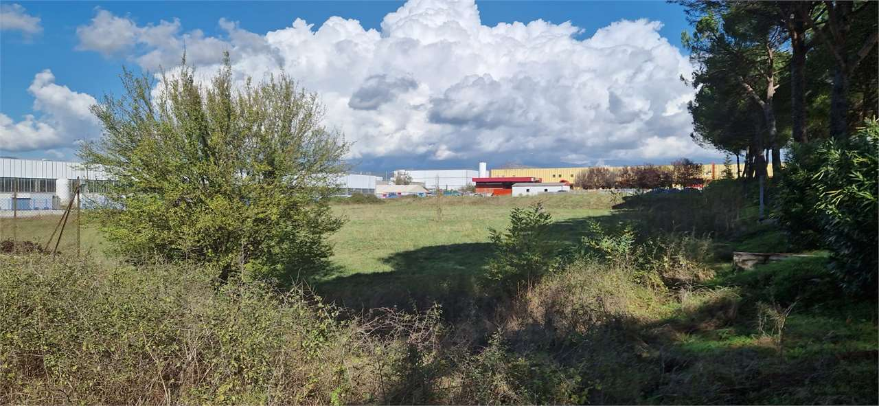 immagine annuncio 6 di 7