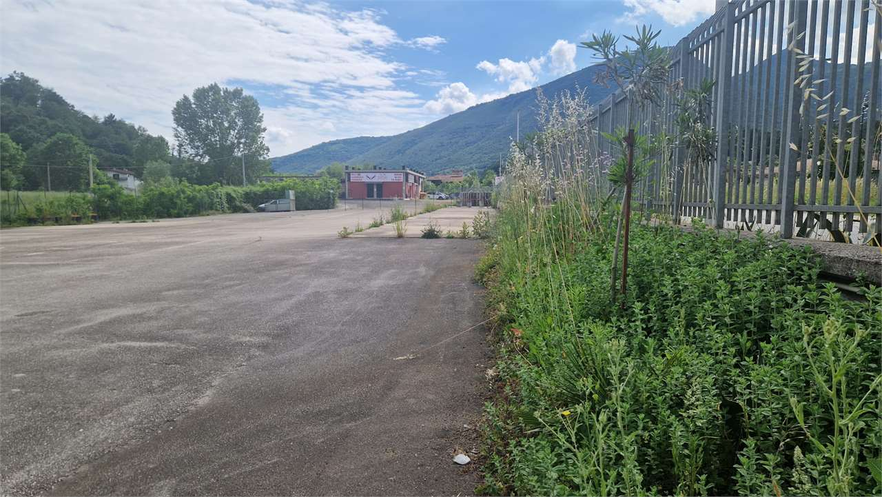 immagine annuncio 7 di 9