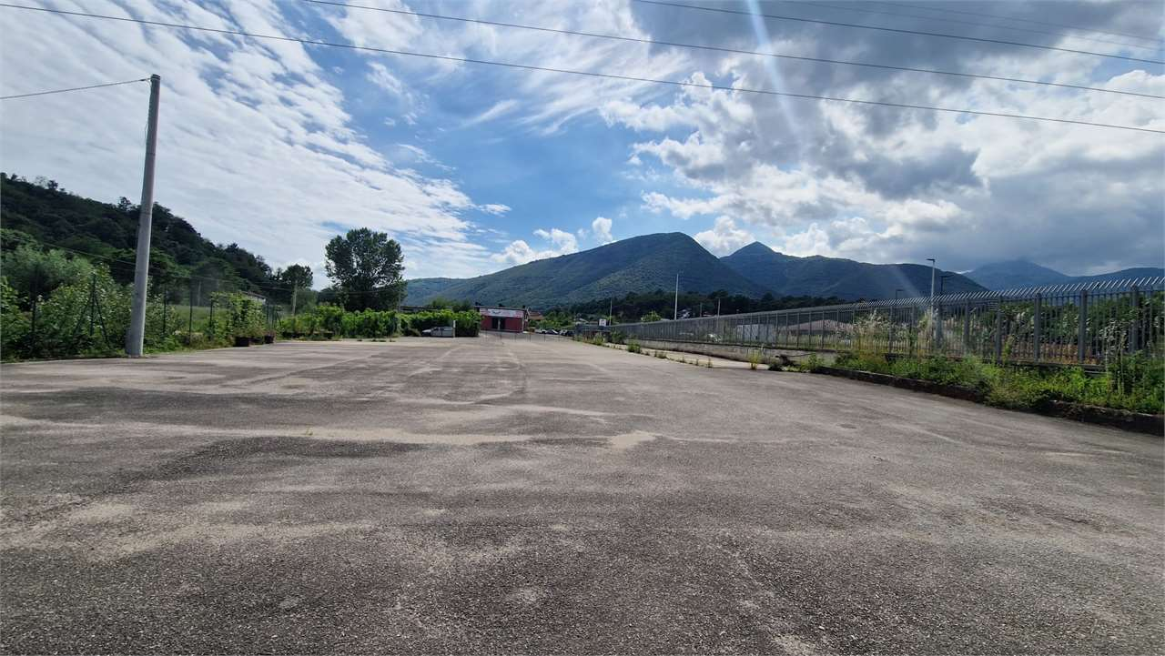 immagine annuncio 5 di 9