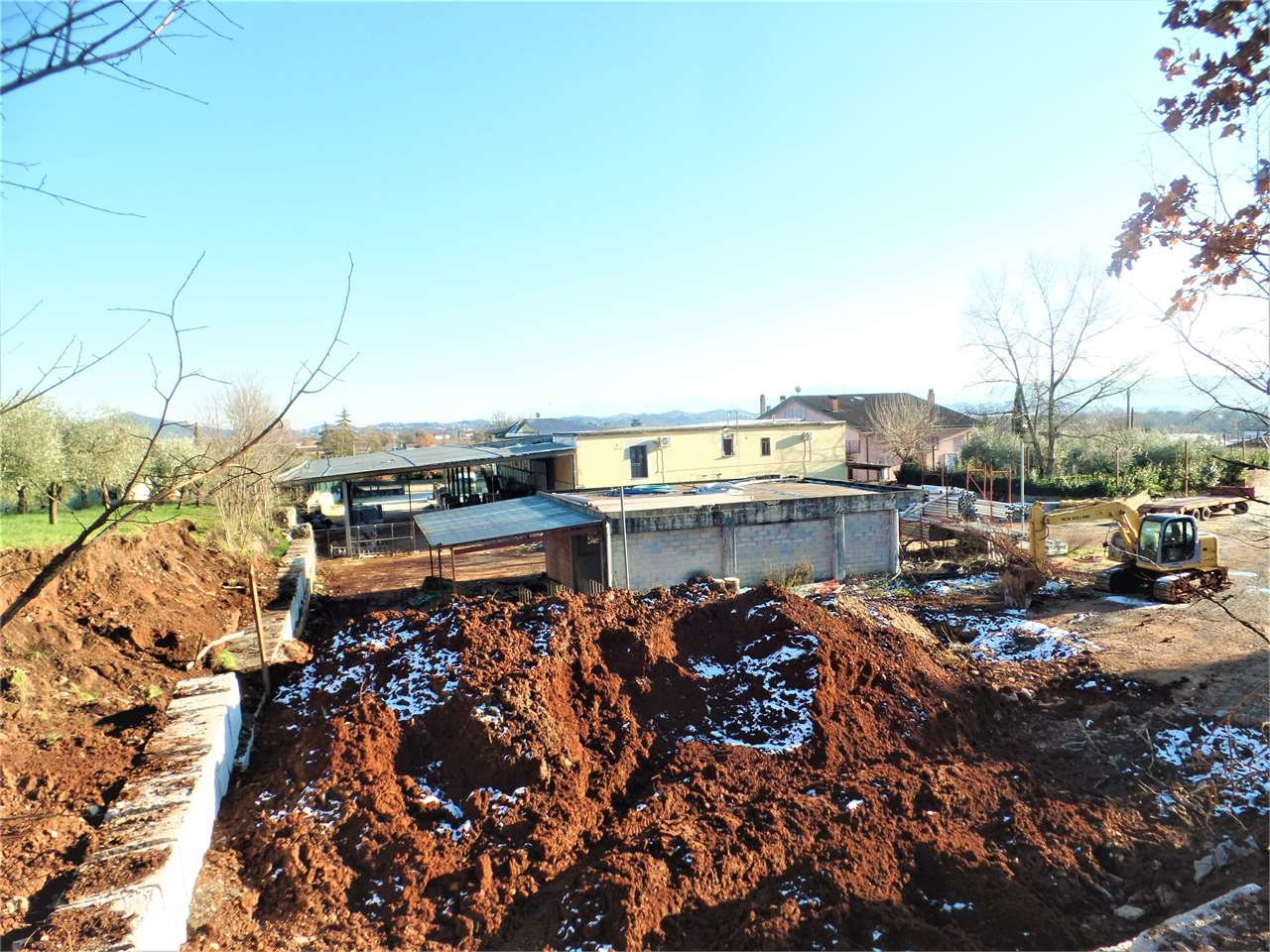 immagine annuncio 5 di 8