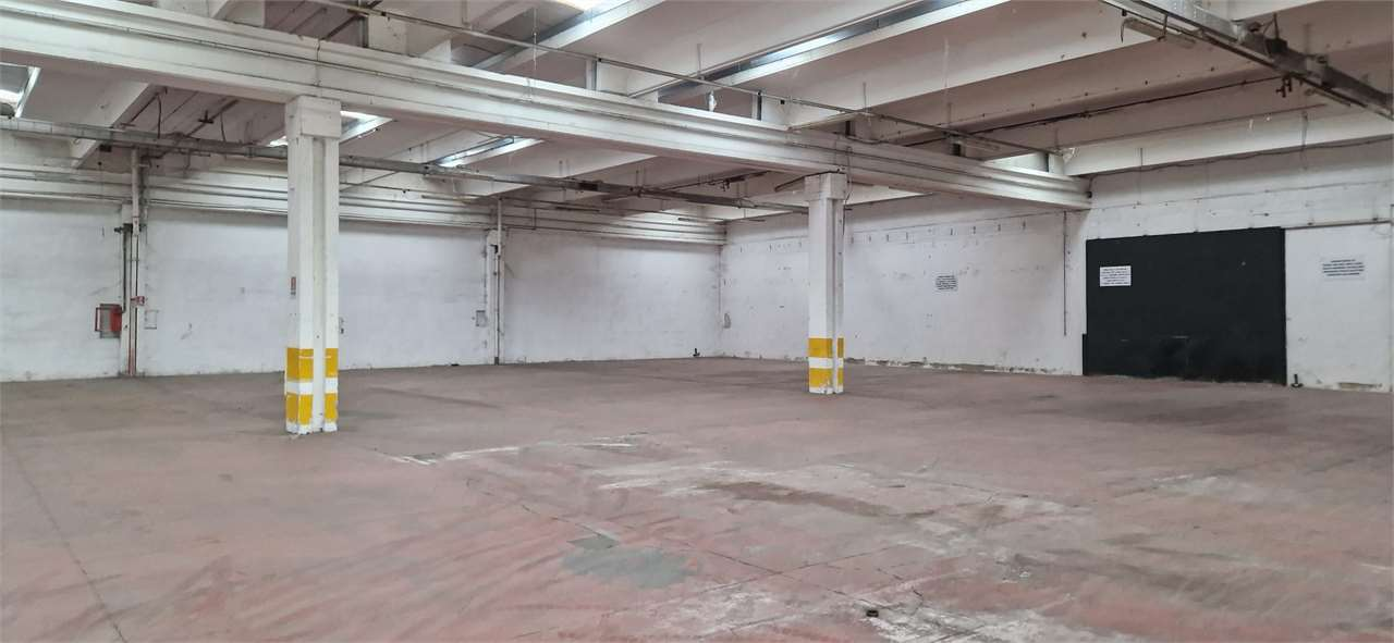 immagine annuncio 6 di 10