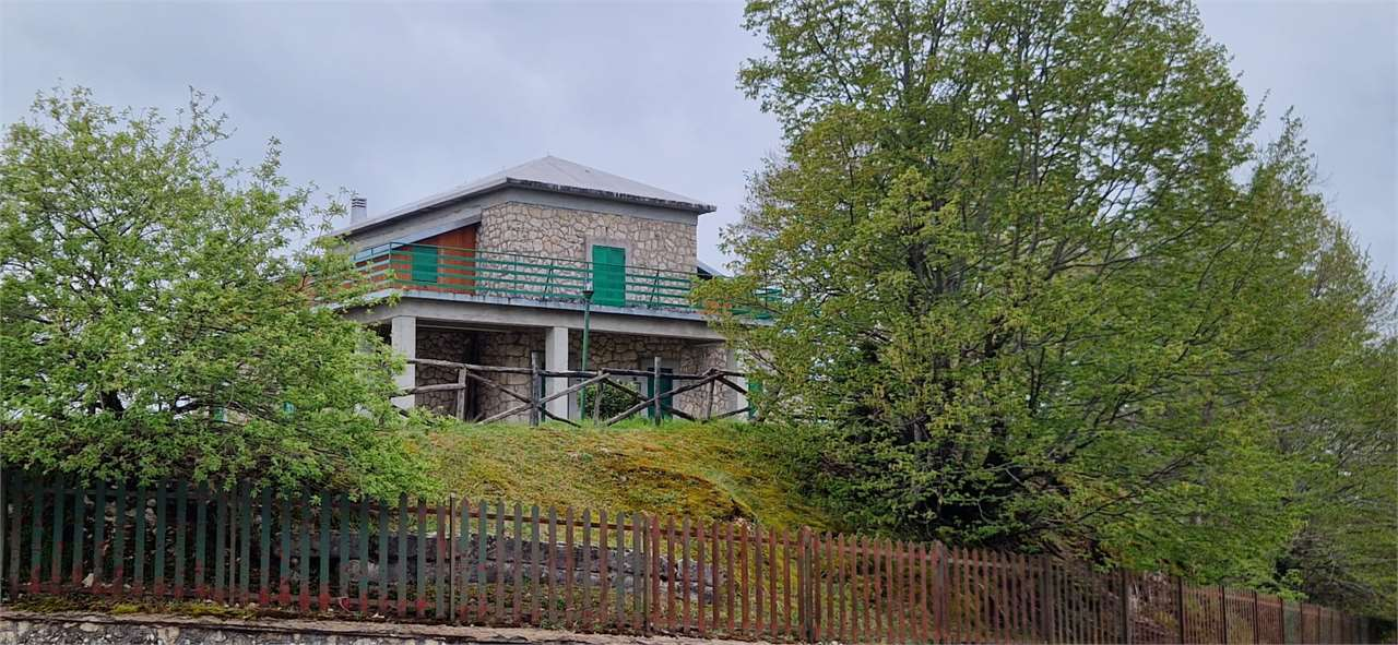 immagine annuncio 1 di 10