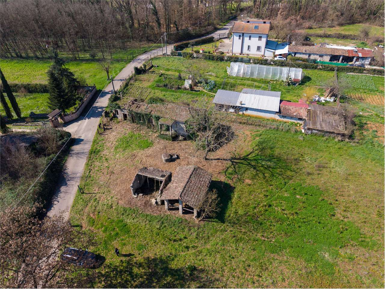 immagine annuncio 1 di 9