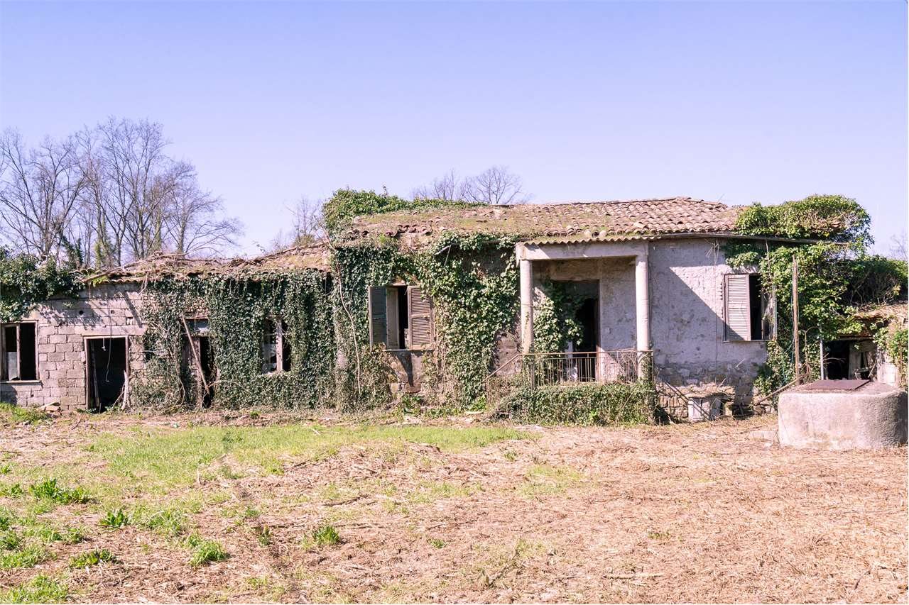 immagine annuncio 4 di 9