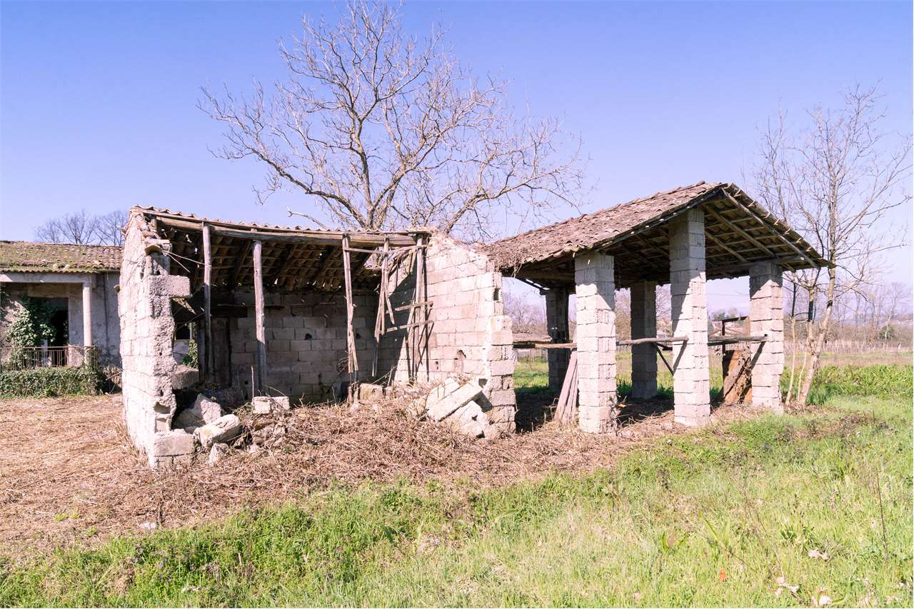 immagine annuncio 5 di 9