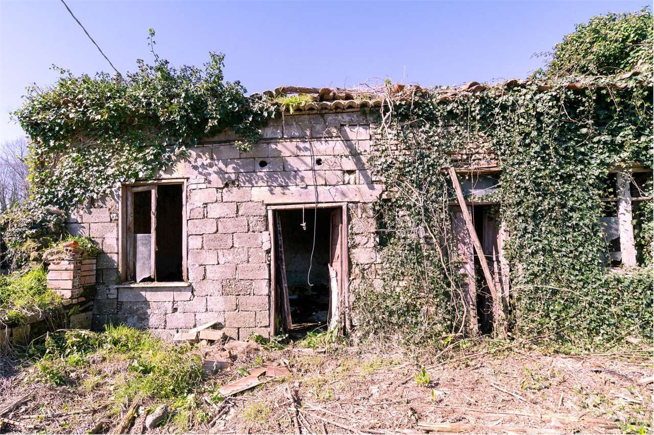 immagine annuncio 7 di 9