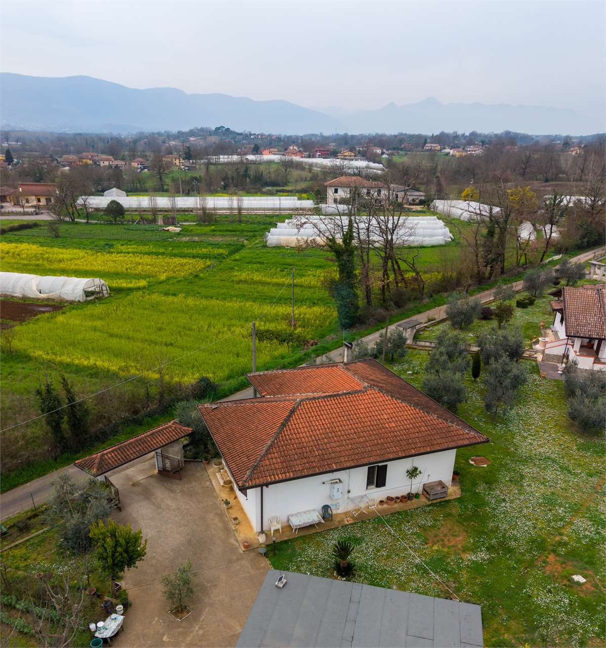 immagine annuncio 2 di 10