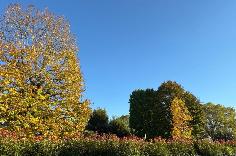 immagine annuncio 6 di 8