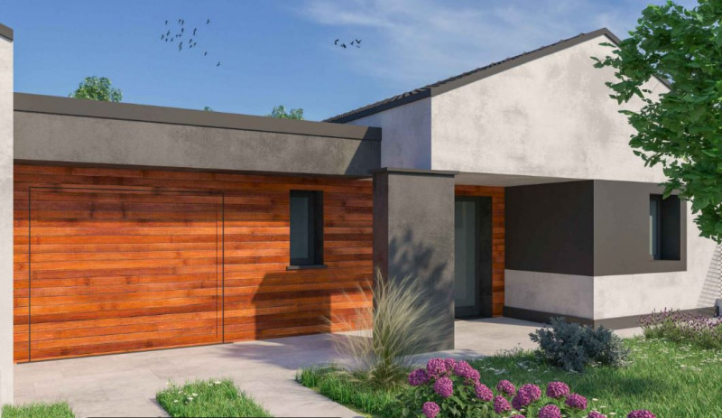 immagine annuncio 2 di 3