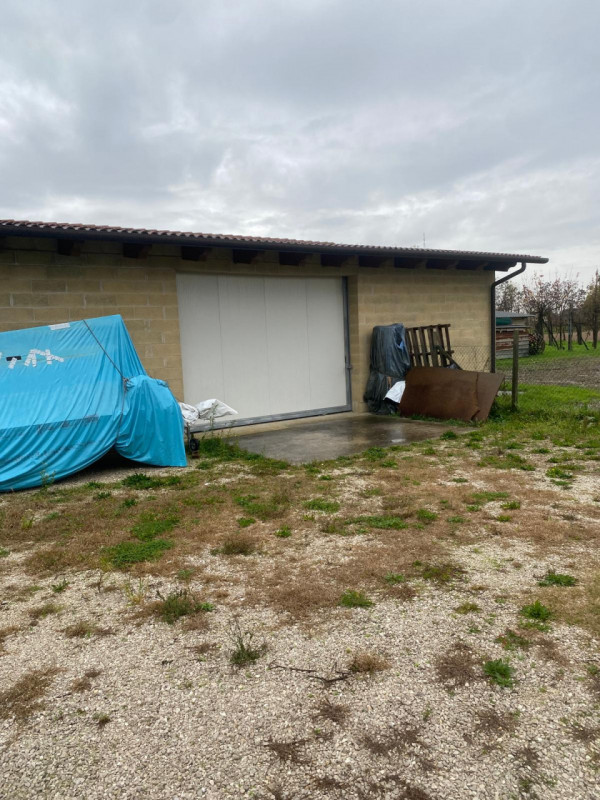 immagine annuncio 2 di 6