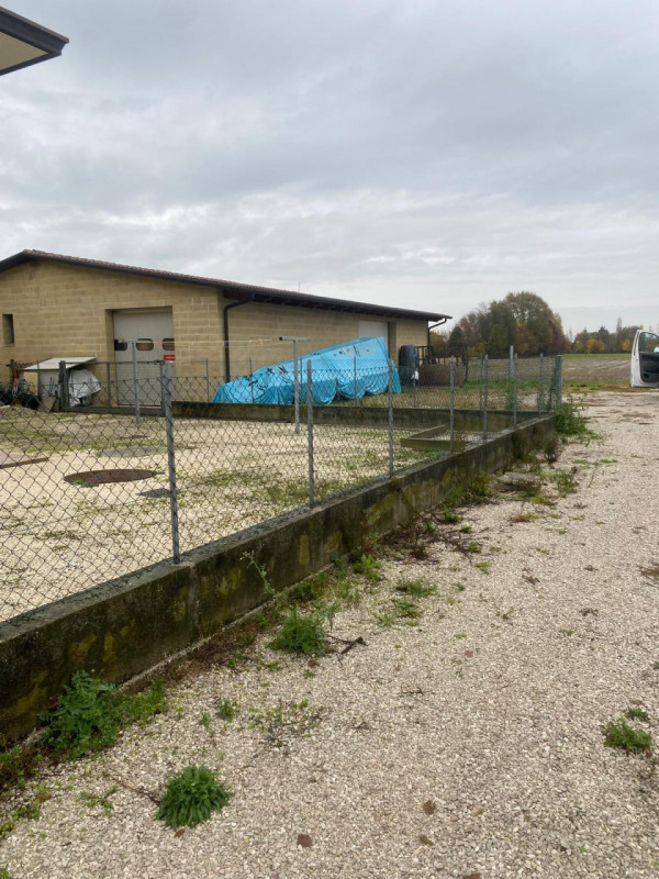 immagine annuncio 4 di 6