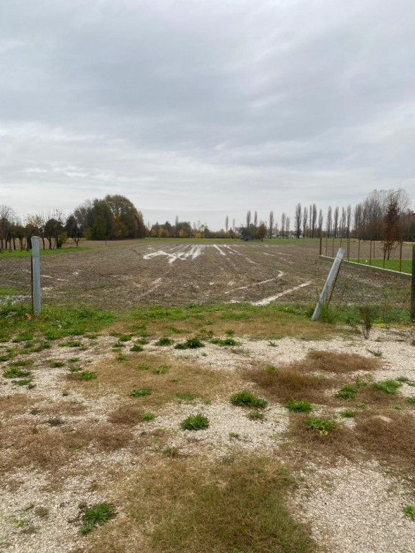 immagine annuncio 3 di 6