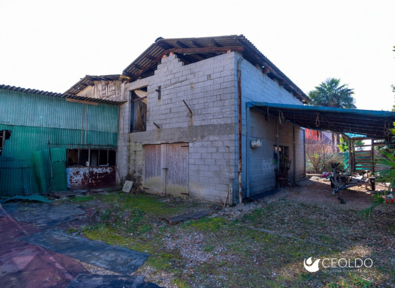 immagine annuncio 4 di 6