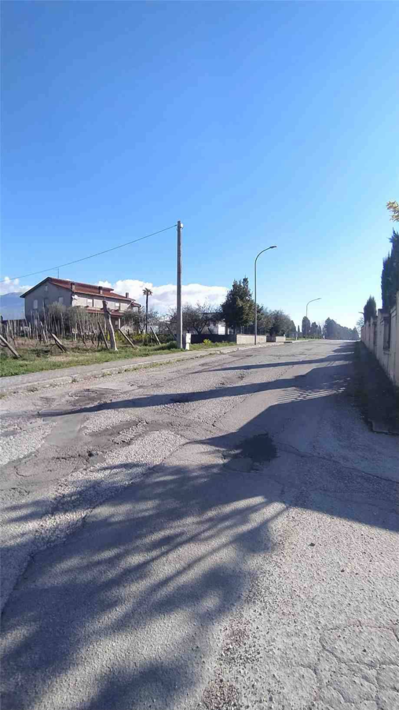 immagine annuncio 6 di 8